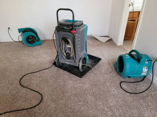 Best Fire Damage Restoration  in Appomattox, VA