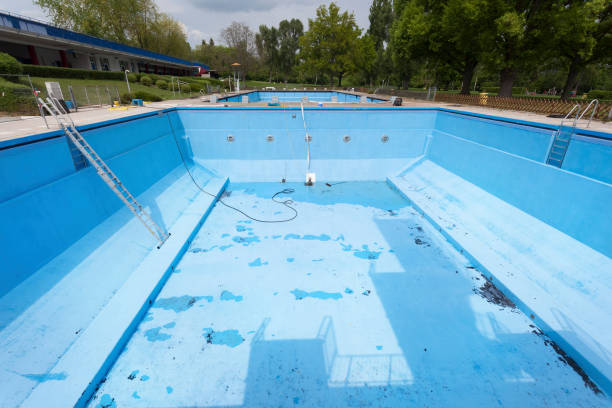 Best Mold removal after water damage  in Appomattox, VA