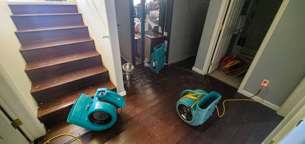 Best Ceiling water damage repair  in Appomattox, VA