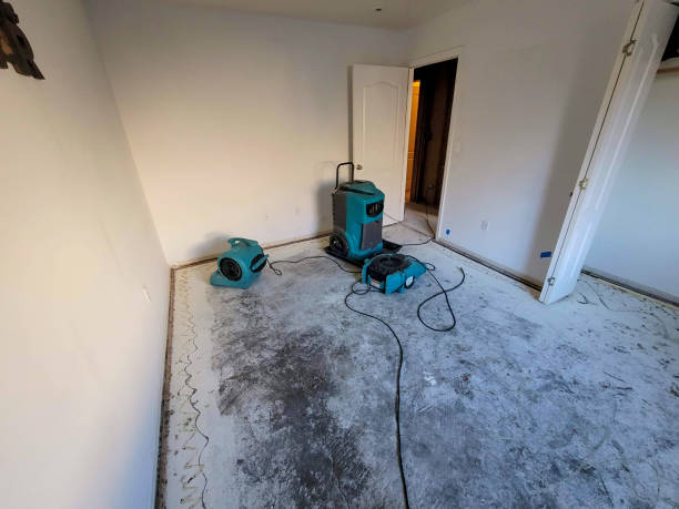 Best Commercial water damage restoration  in Appomattox, VA