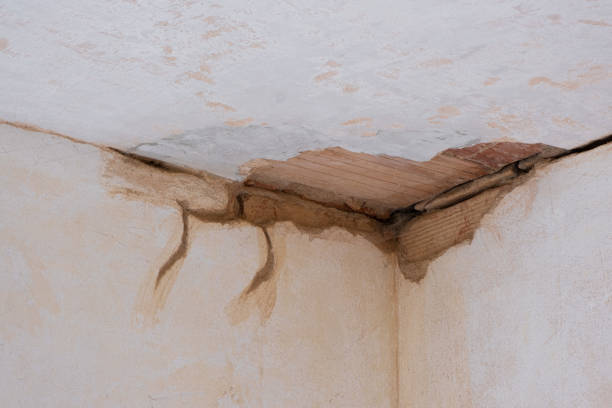 Best Sewage cleanup and water damage restoration  in Appomattox, VA