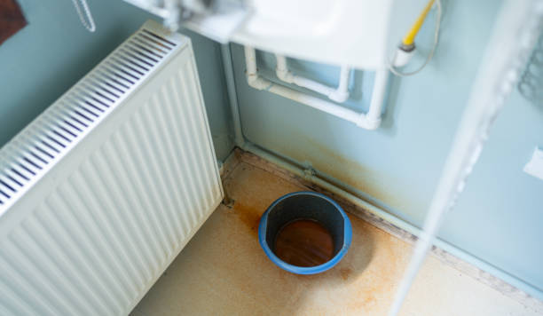 Best Professional water damage repair  in Appomattox, VA
