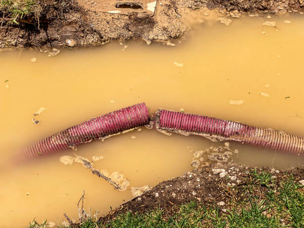 Best Commercial water damage restoration  in Appomattox, VA